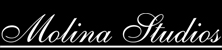 Molina Studios Logo
